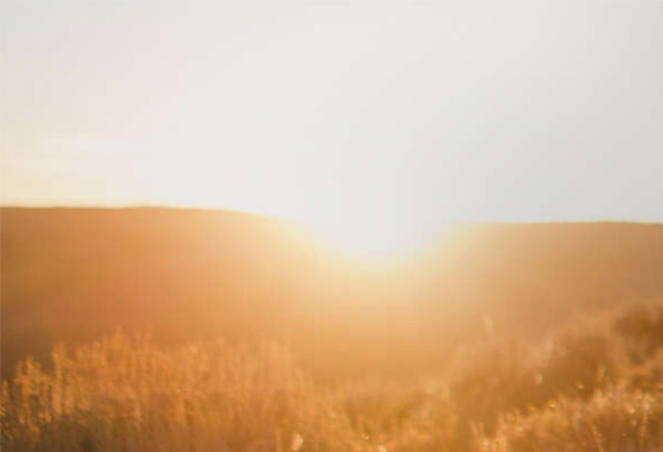 China WestWarrior Co., Ltd get 2 points of BSCI Audit(2014)